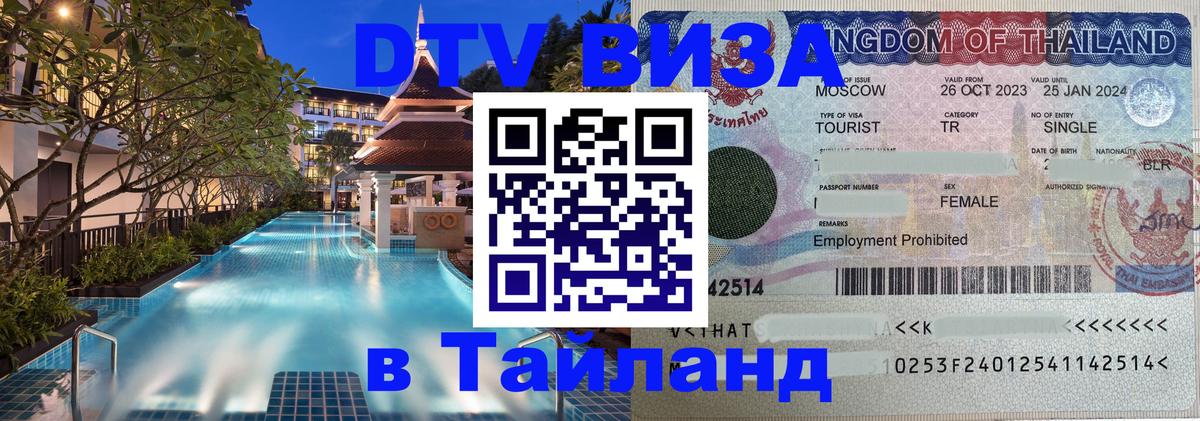 Оформление DTV визы под ключ: стоимость и тарифы, только загранпаспорт - Тирана  19.11.2025 